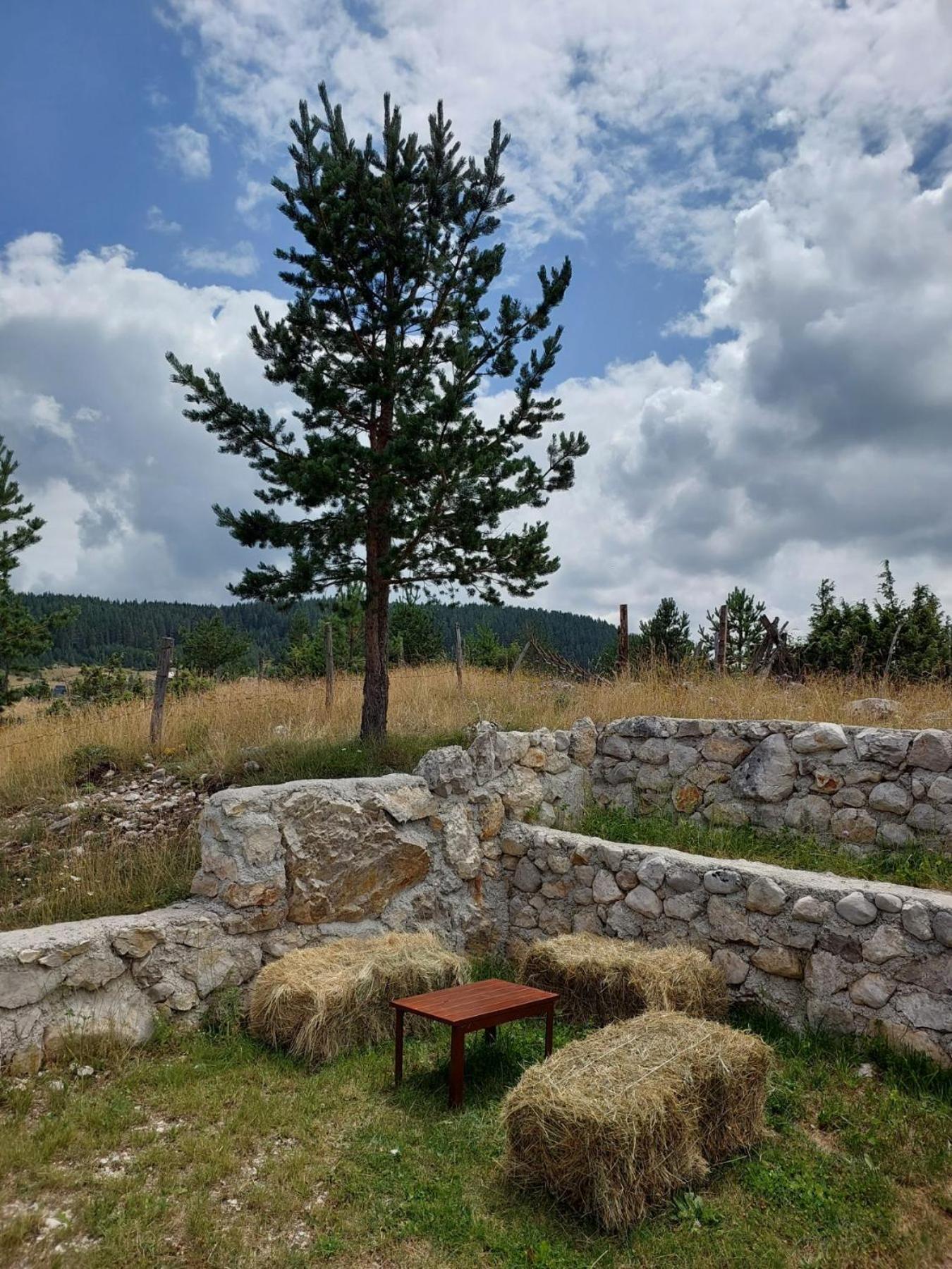 Mountain Peace Cottage Žabljak Exterior foto